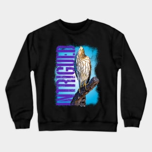 Intrigued Crewneck Sweatshirt